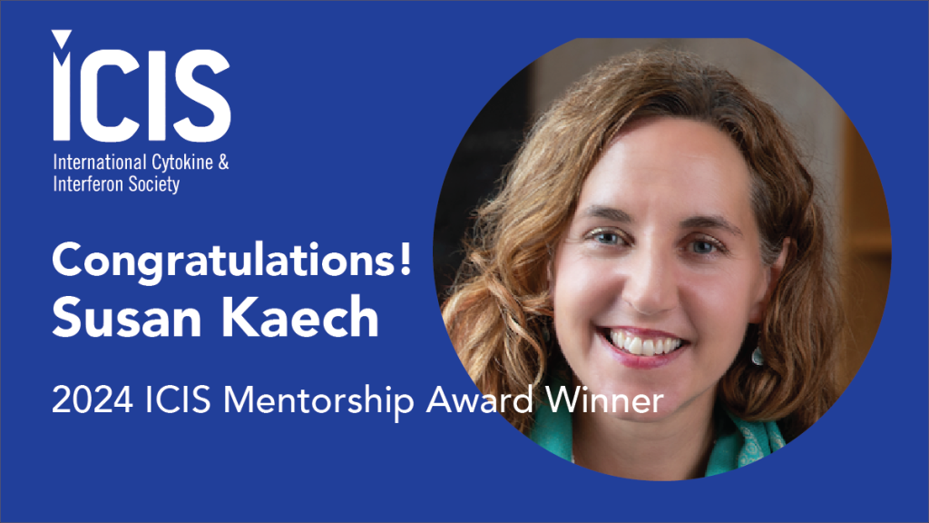 2024 Mentorship Award: Susan Kaech is a Salk Institute Professor, Director of the NOMIS Center for Immunobiology and Microbial Pathogenesis, and holder of the NOMIS Chair.