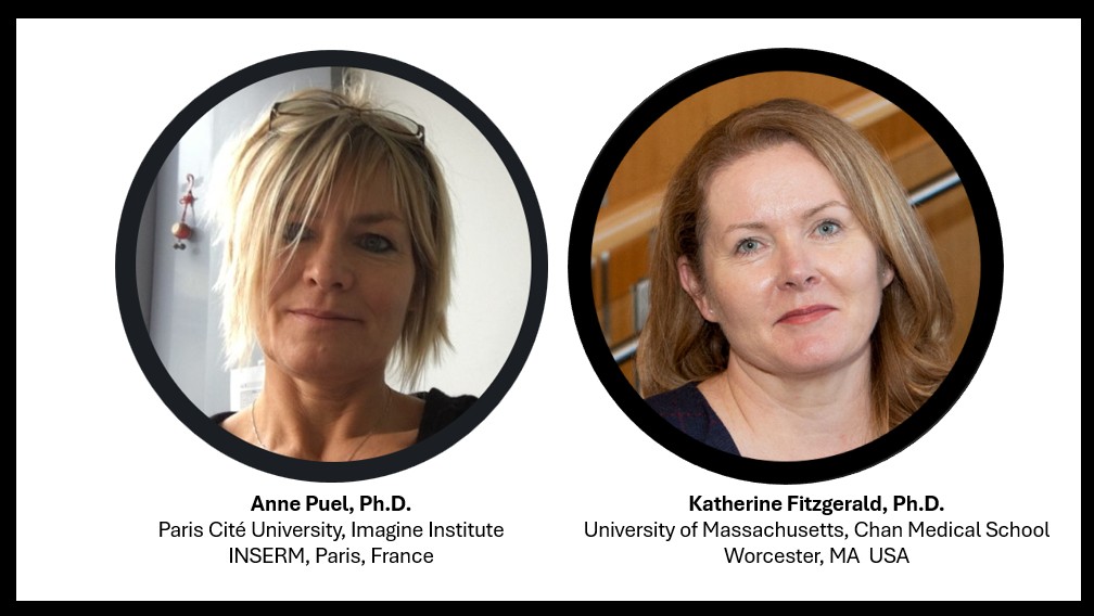 Headshots: Puel, Fitzgerald